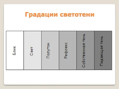 Линия и светотень в рисовании. Альбом для скетчинга - купить книгу Линия и  светотень в рисовании. Альбом для скетчинга в Минске — Издательство АСТ на  OZ.by