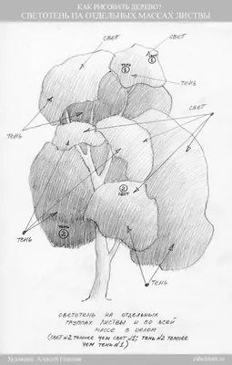 Светотень в рисунке Чтобы круг... - Лихачевские мастерские | Facebook