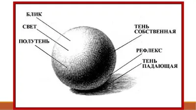 АС Полный курс рисования Линия и светотень в рисовании