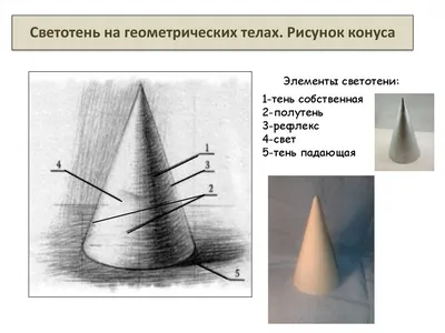 Урок 5. Светотень - продолжение. Как рисовать фрукты