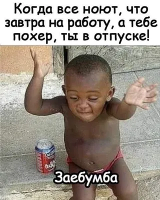 Свежие смешные картинки