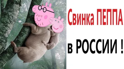 Лютые приколы. СВИНКА ПЕППА В РОССИИ!!! Попробуй не засмеяться! Самое  смешное видео! – Domi Show! | Domi show | Дзен