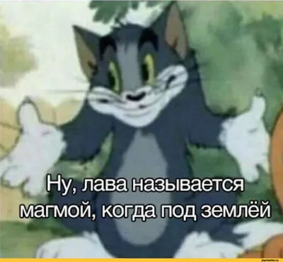 Создать комикс мем \"том и джерри на русском, tom and jerry tom, том и  джерри кадры из мультфильма\" | Забавные картинки, Мультфильмы, Мемы