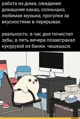 работа из дома, ожидание: домашнее какао, солнышко, любимая музыка,  прогулки за вкусностями в перер / щупчик :: работа мечты :: сыч :: работа  на дому / смешные картинки и другие приколы: комиксы,