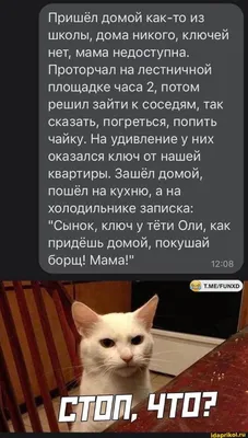 Значок Строки Смайлика Удивление Удивление Смешное Счастье Радость Круглое  Лицо Неуравновешенные Эмоции Чувства Эмодзи Концепция Н — стоковая  векторная графика и другие изображения на тему Brand Name Online Messaging  Platform - iStock