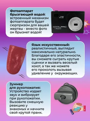 Самые смешные фото кошек. Смешные коты и кошки для отличного настроения!  Интересная и любопытная информация про кошек | Все про кошек | Дзен