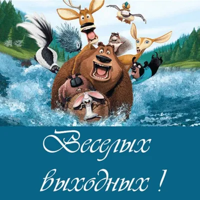 Ура, пятница! Веселые картинки для хорошего настроения | НЕ Петросян | Дзен