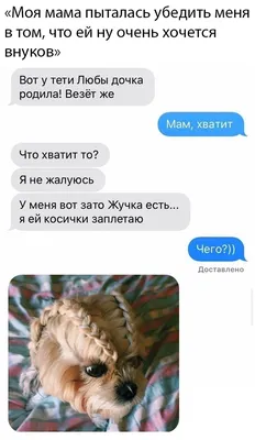 Мы готовы к празднованию Хэллоуина, вы? 🎃 Приходите в гости слушать ужасно  смешные выступления комиков и пробовать страшно вкусную кухню:… | Instagram