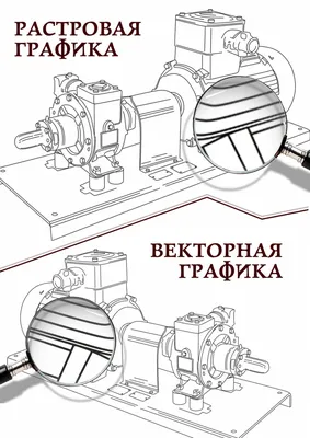 Растровая и векторная графика: что это такое, применение, отличия, плюсы и  минусы, пример изображений