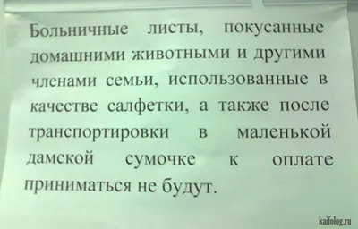 смешной глазной врач в юмористической медицинской концепции смешной глазной  врач в юмористической медицинской концепции Фото Фон И картинка для  бесплатной загрузки - Pngtree