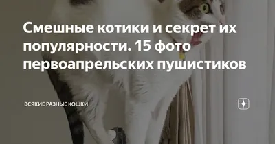 Иллюстрация 15 из 24 для Чудеса не понарошку. Смешные истории - Тамара  Крюкова | Лабиринт - книги. Источник: