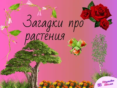 10 задач на логику и сообразительность - Лайфхакер