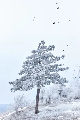 Немного прохлады. Фото в комментах. | Пикабу