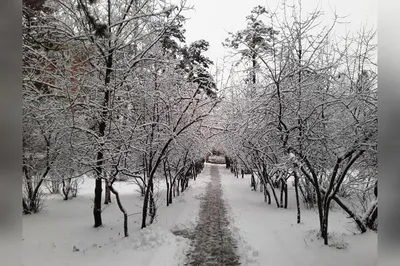 Зима и утро…, Владивосток, маяк Токаревского, январь 2023. Фотограф Наталья  Лабодина