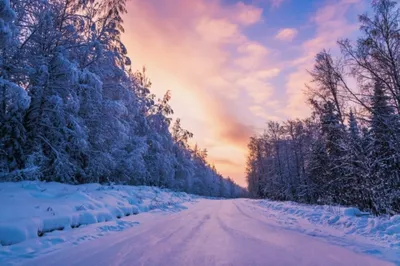 Download wallpaper winter, forest, the sky, snow, sunset, Finland, Lapland,  January, section landscapes in resolution 2800x1867